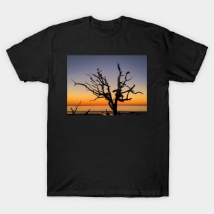 Colorful Driftwood Beach T-Shirt